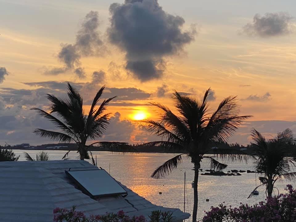 Sunset and palms