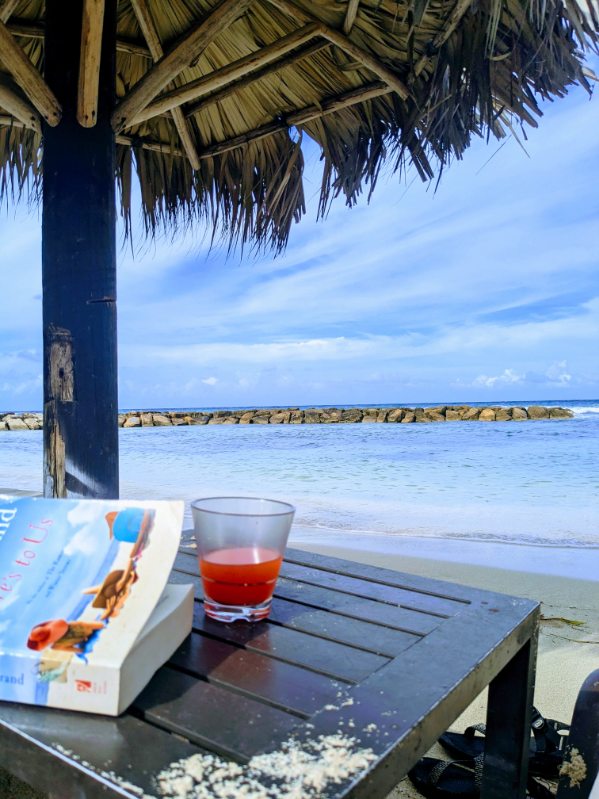 Book and drink on table overlooking the ocean