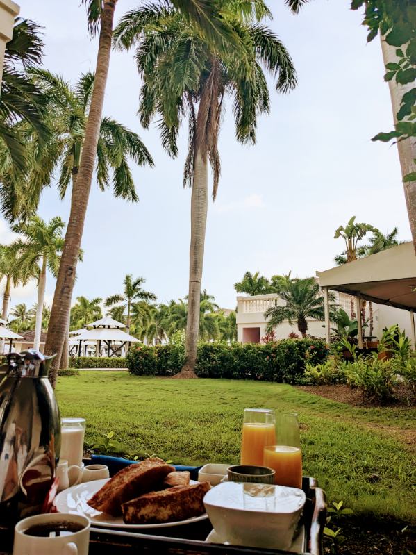 Breakfast with view of palms